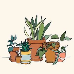 Meet your Posher, Annabelle